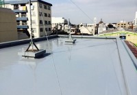 IMG_8382 (800x601)