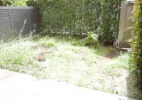 DSCN8290