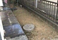 マンションの庭木の伐採・草むしり後